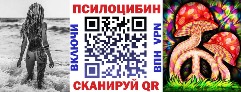 гидра   дарнет шоп  Новокубанск  Псилоцибиновые грибы GOLDEN TEACHER 