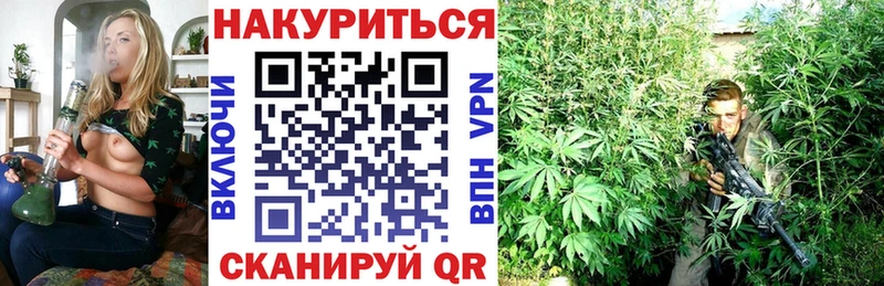 сайты даркнета как зайти  Новокубанск  blacksprut зеркало  Каннабис ГИДРОПОН  что такое  